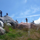 El conejo en 2008